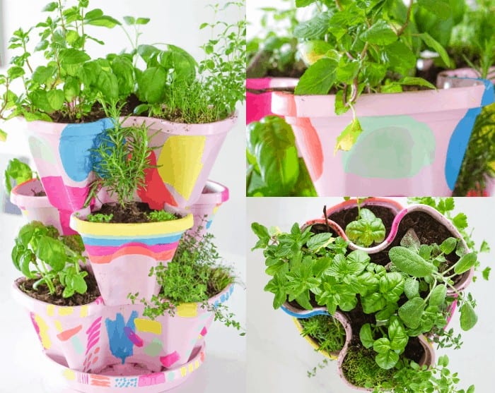 Colorful DIY Indoor herb garden. Looking for a colorful diy herb garden then look no further than this herb garden kit that we're sprucing up.