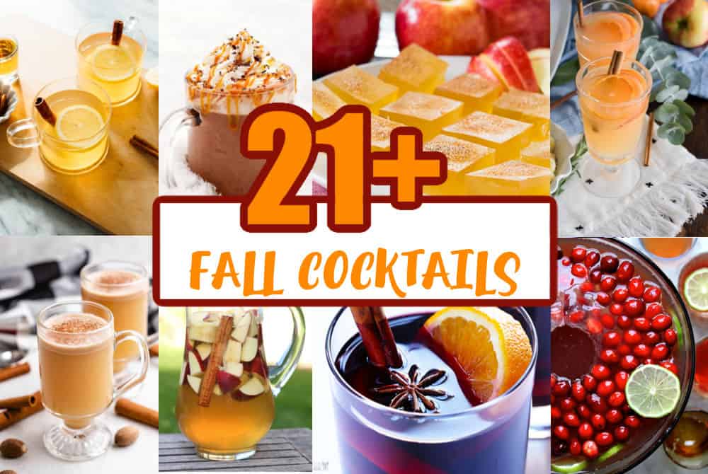 21+ Fall Cocktail Recipes