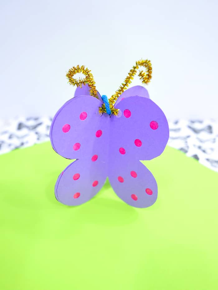 Butterfly Craft