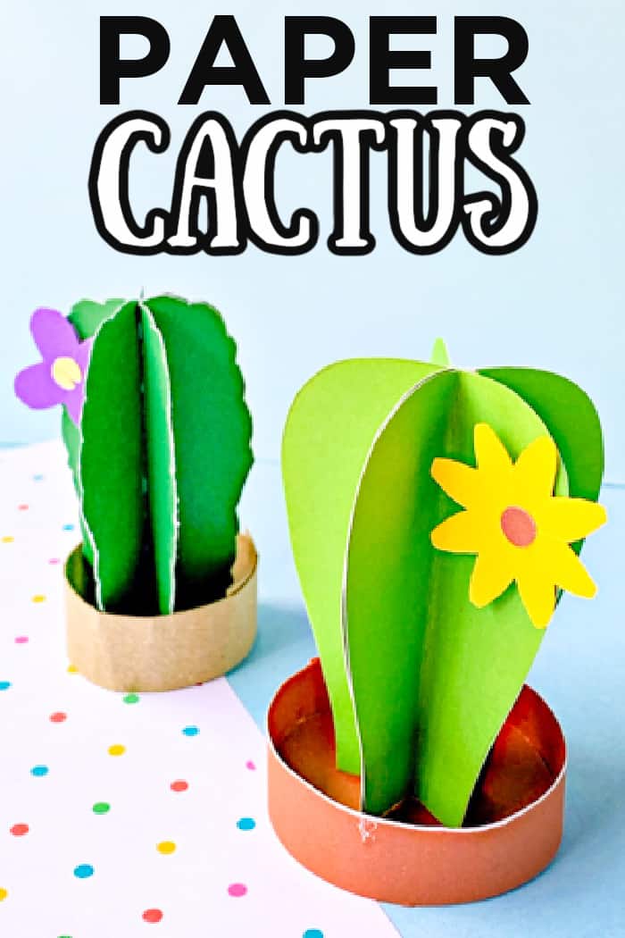 paper cactus 3d