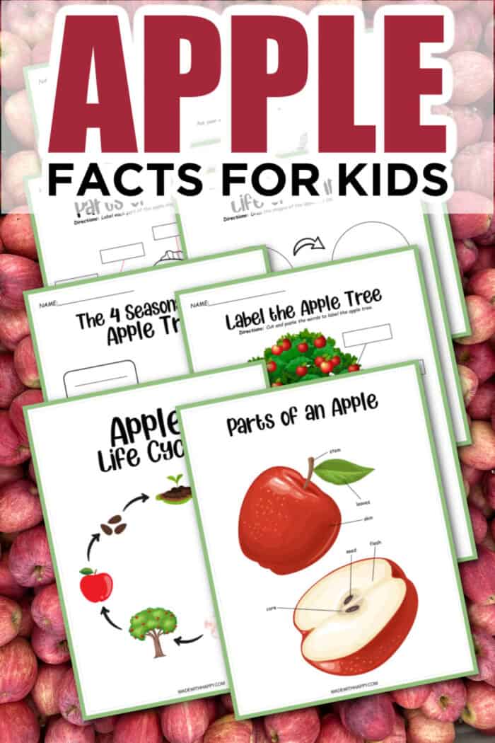 Fun Facts For Kids about Apples