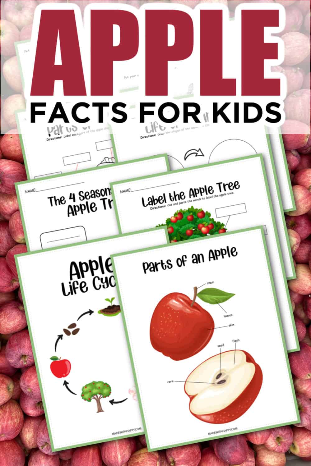Apple Facts For Kids
