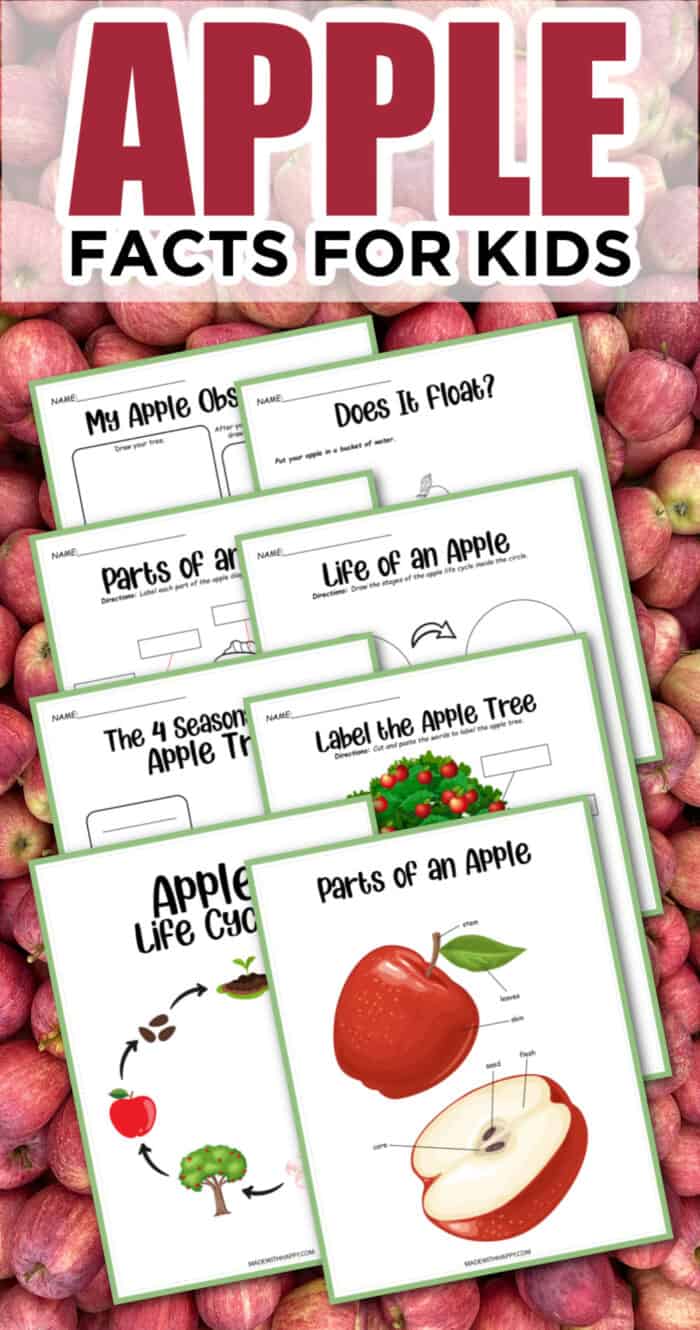 Fun Activities for Kids about Apples