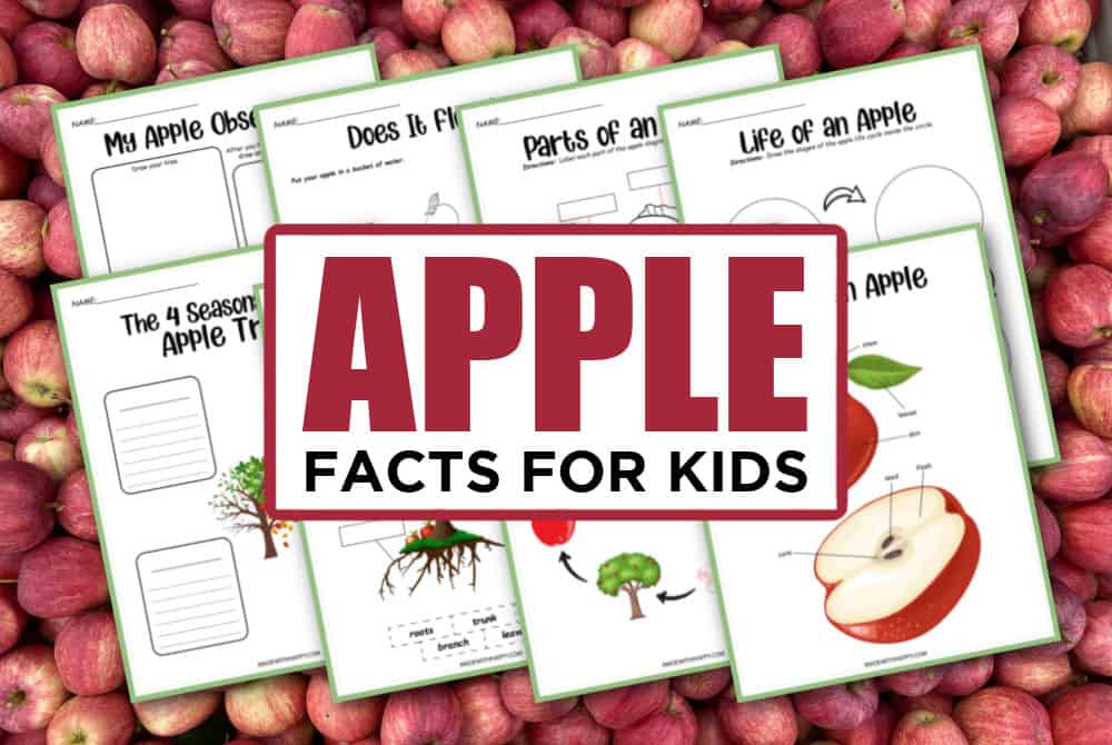 Apple Printables For Kids