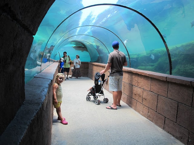 Tunnel under the water at the Atlantis Bahamas hotel