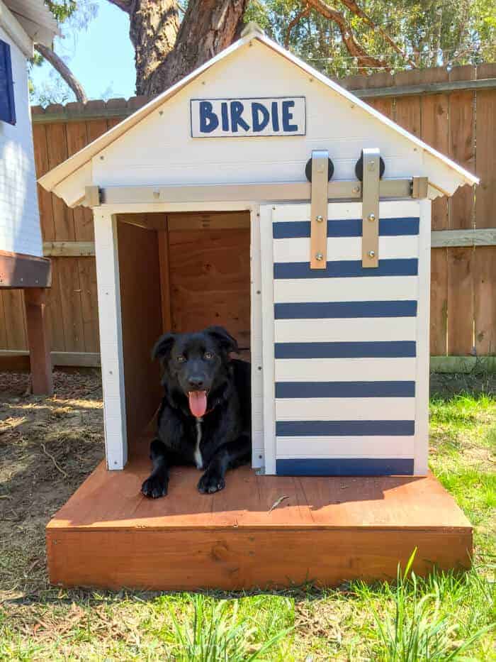 Diy Dog House Barn Door Dog House