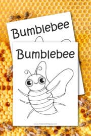 Free Printable Bumblebee Coloring Pages - Made with HAPPY