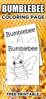 Free Printable Bumblebee Coloring Pages - Made with HAPPY