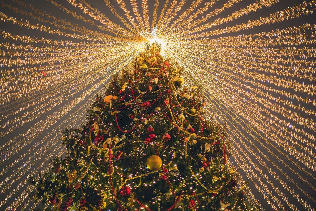 Christmas Lights on Tree