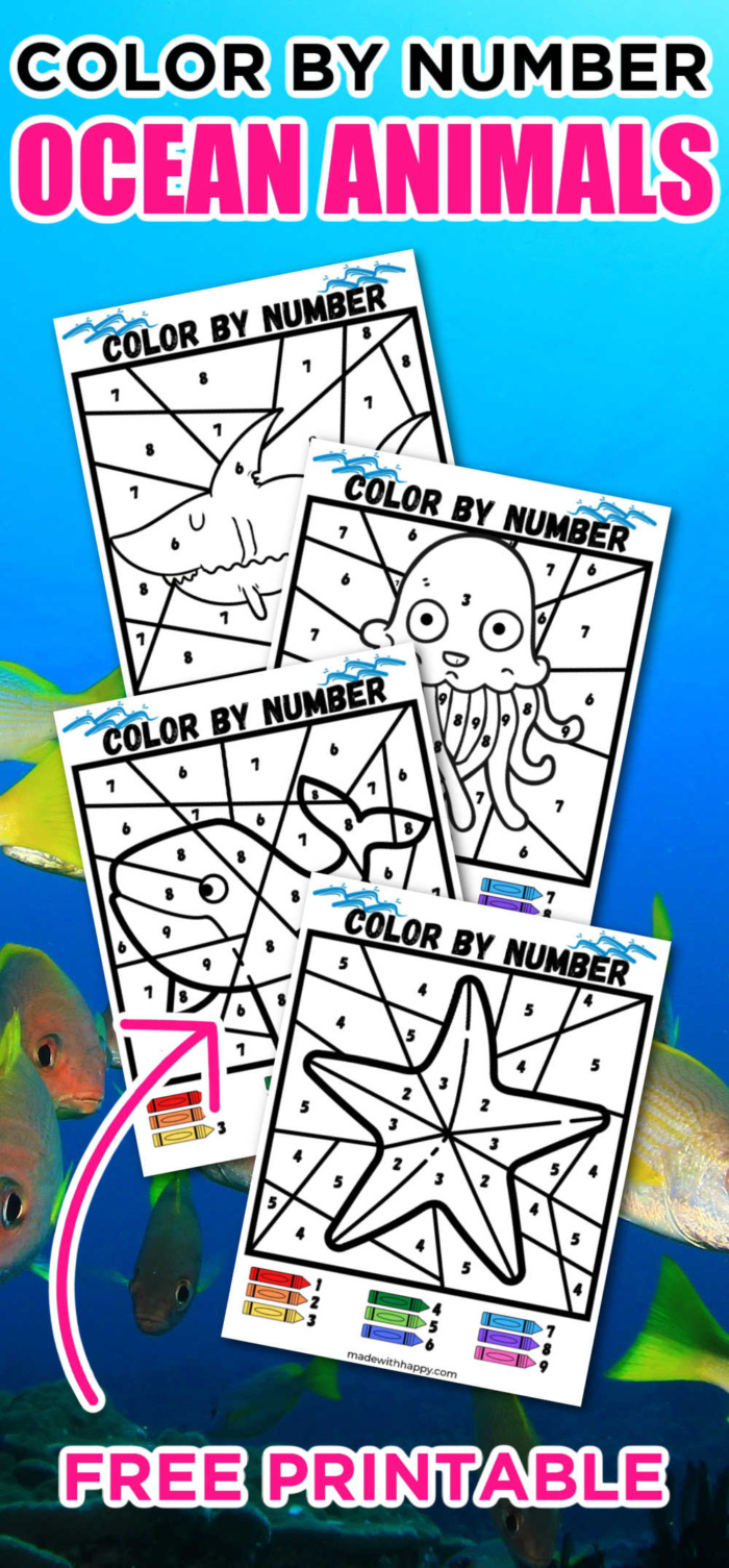 Ocean Life Color By Number for Kids Ages 8-12: Amazing Sea Animals