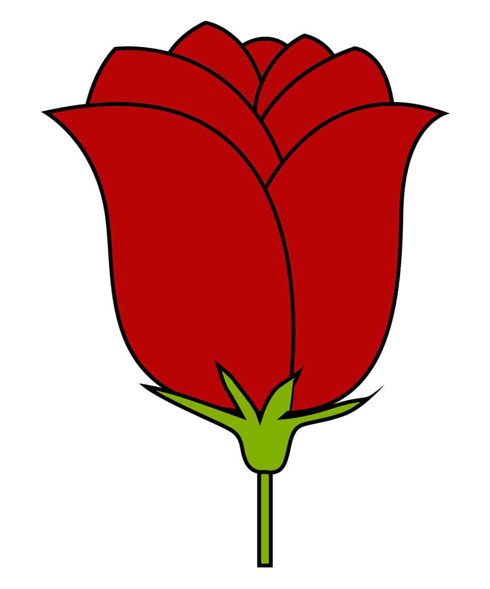 Colored Rose Drawing