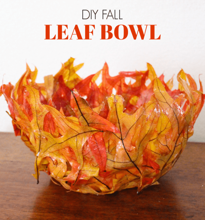 DIY Leaf Bowl