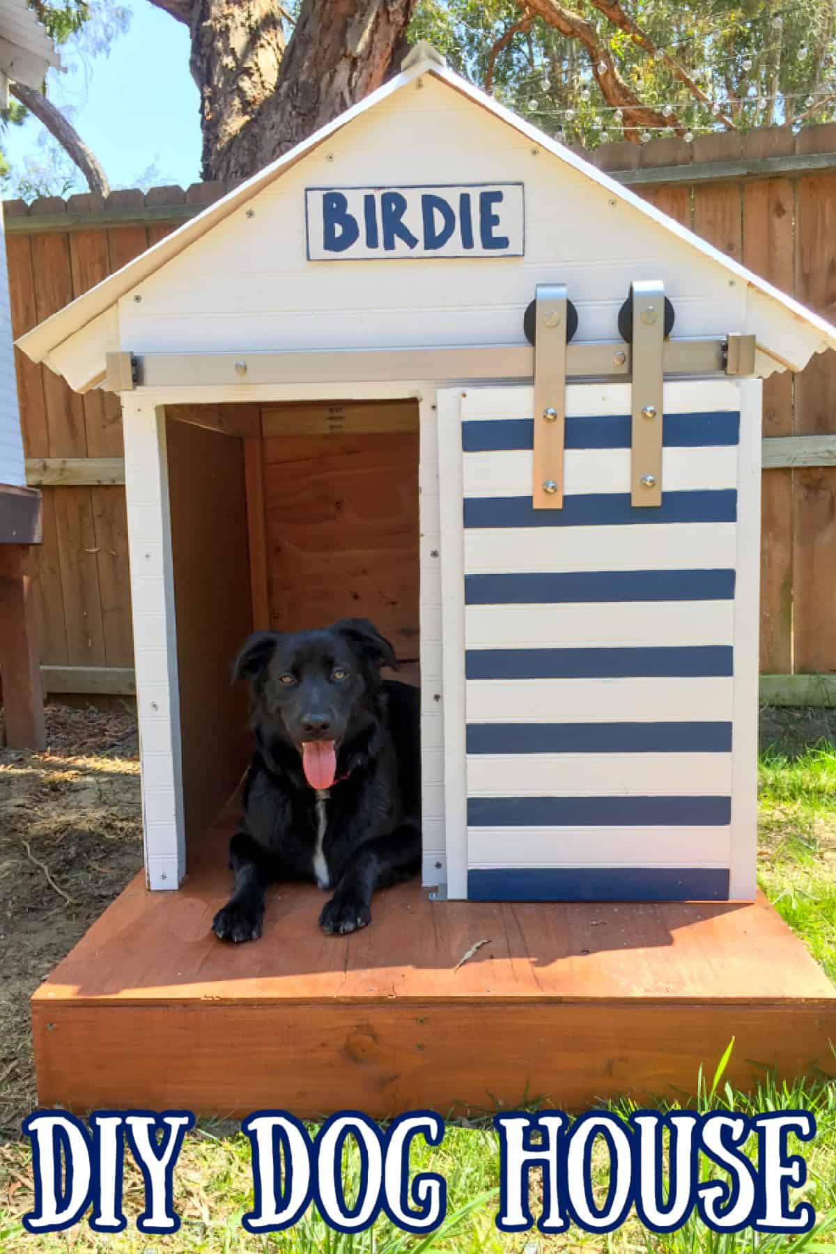 DIY Dog House With Barn Door