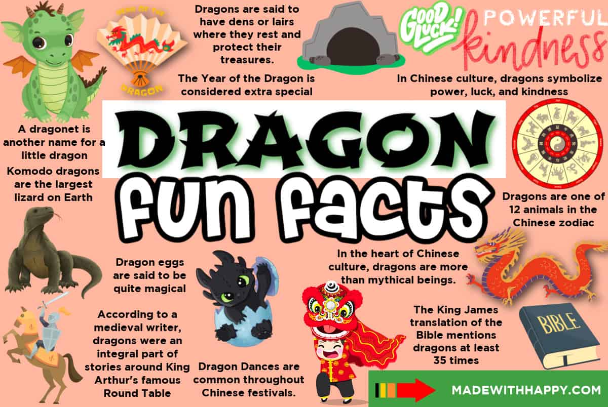 dragon Facts