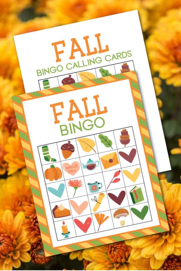 Fall bingo Cards