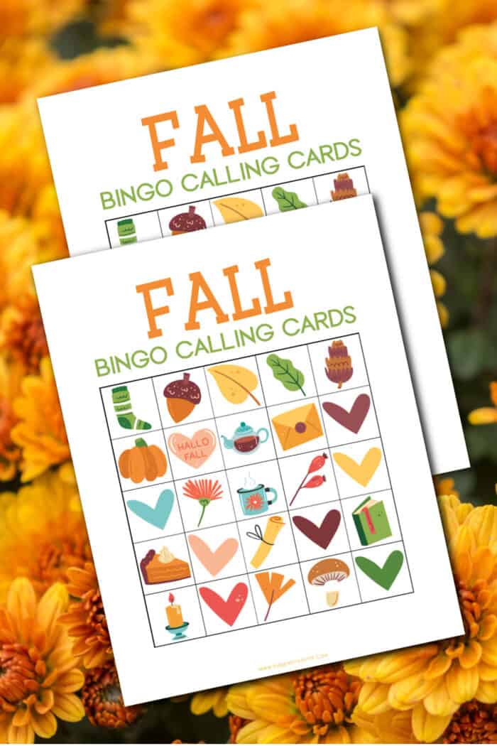 Fall Bingo Calling Cards