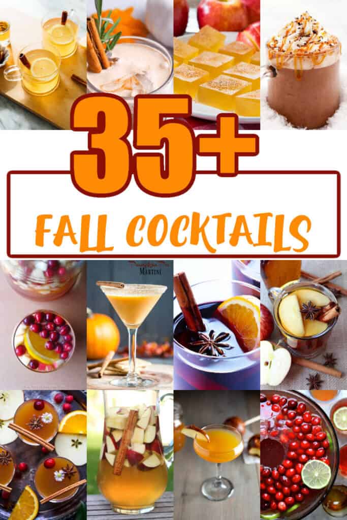 35+ The Best Fall Cocktail Recipes 2023 Made with HAPPY