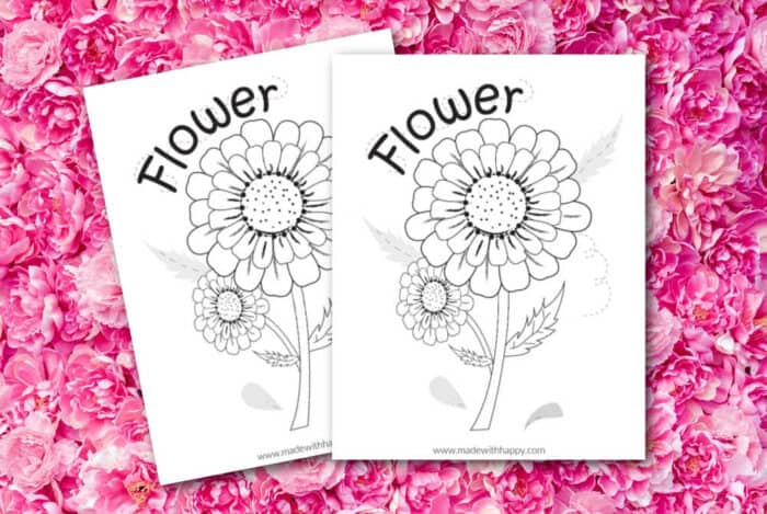 simple flower coloring page