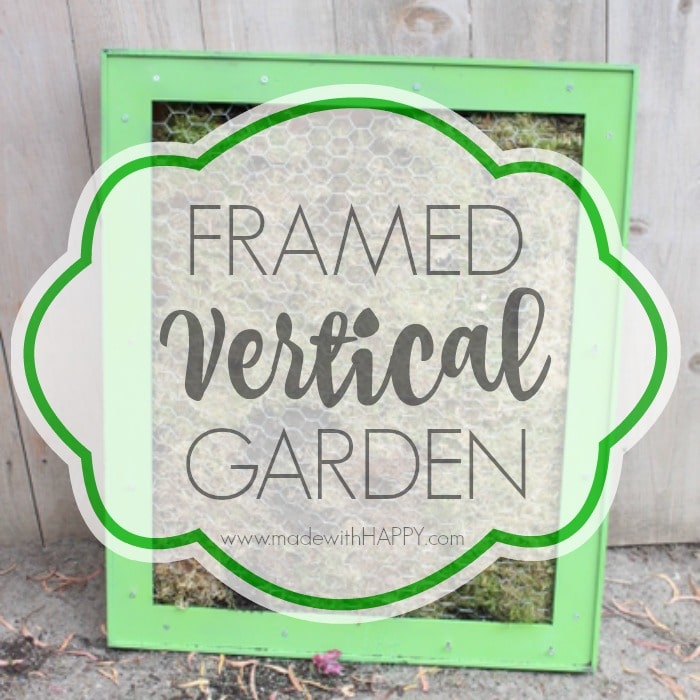 Framed Vertical Garden. Home Garden DIY Projects. Backyard projects. Vertical Garden DIY. How to make a vertical garden. DIY Framed Vertical Garden.