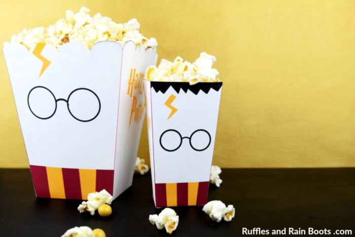 Harry Potter Popcorn Box