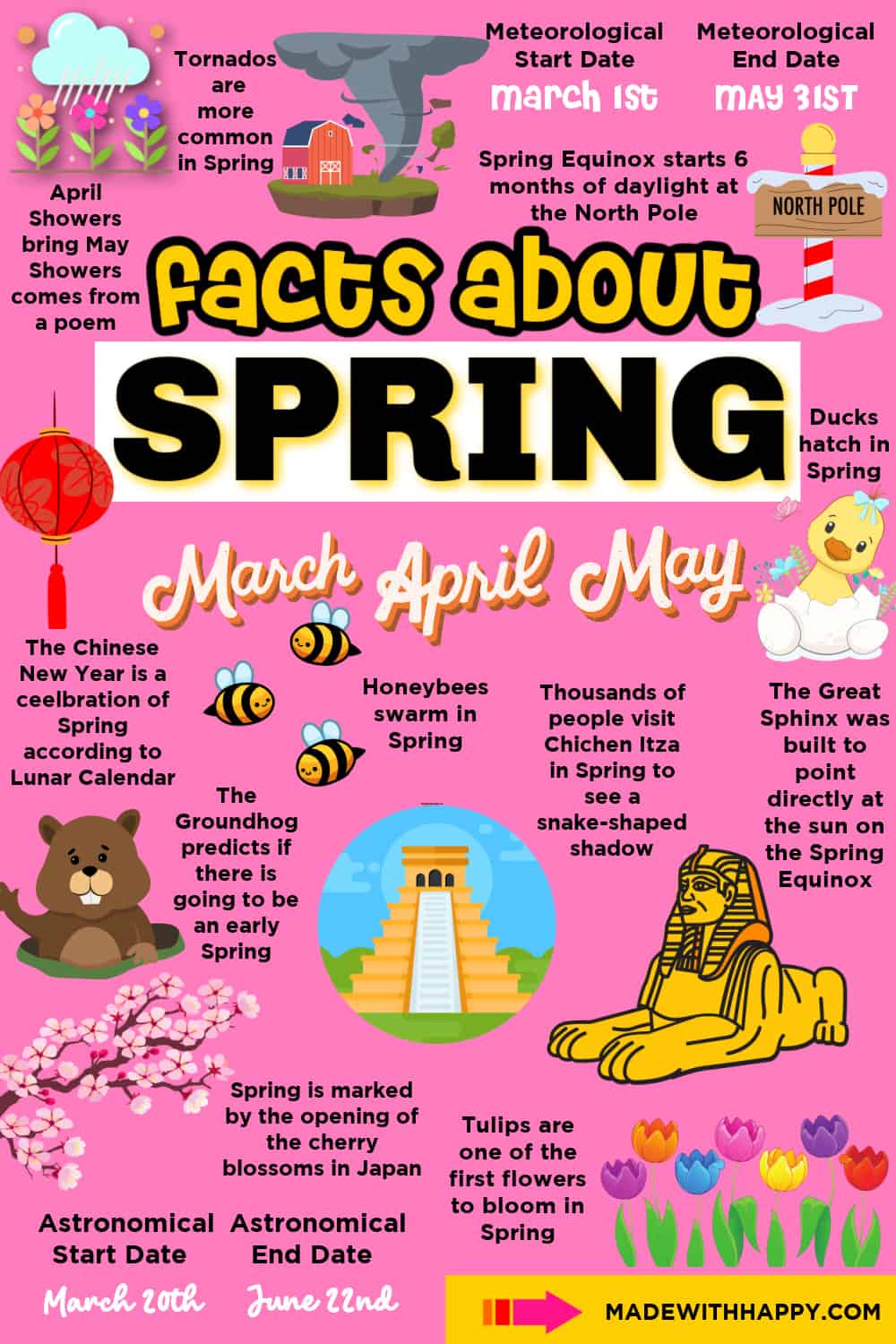 Facts About Spring - Made with HAPPY