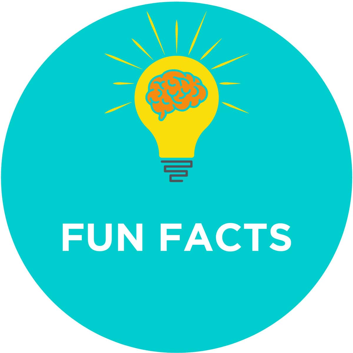 Fun Facts For kids