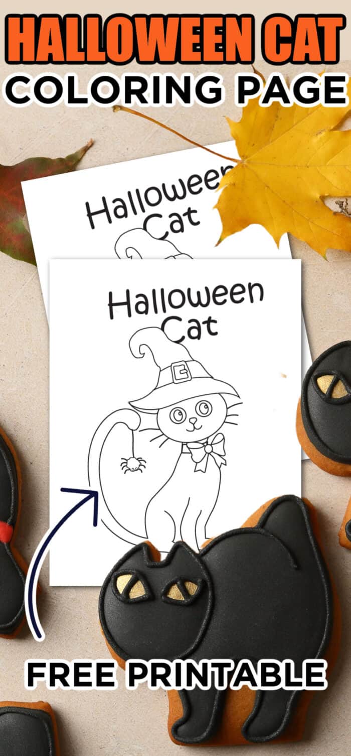 galinha pintadinha para colorir - Pesquisa Google  Coloring pages, Black  cat halloween, Coloring books