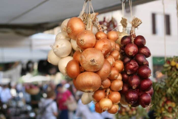 Hanging Onions