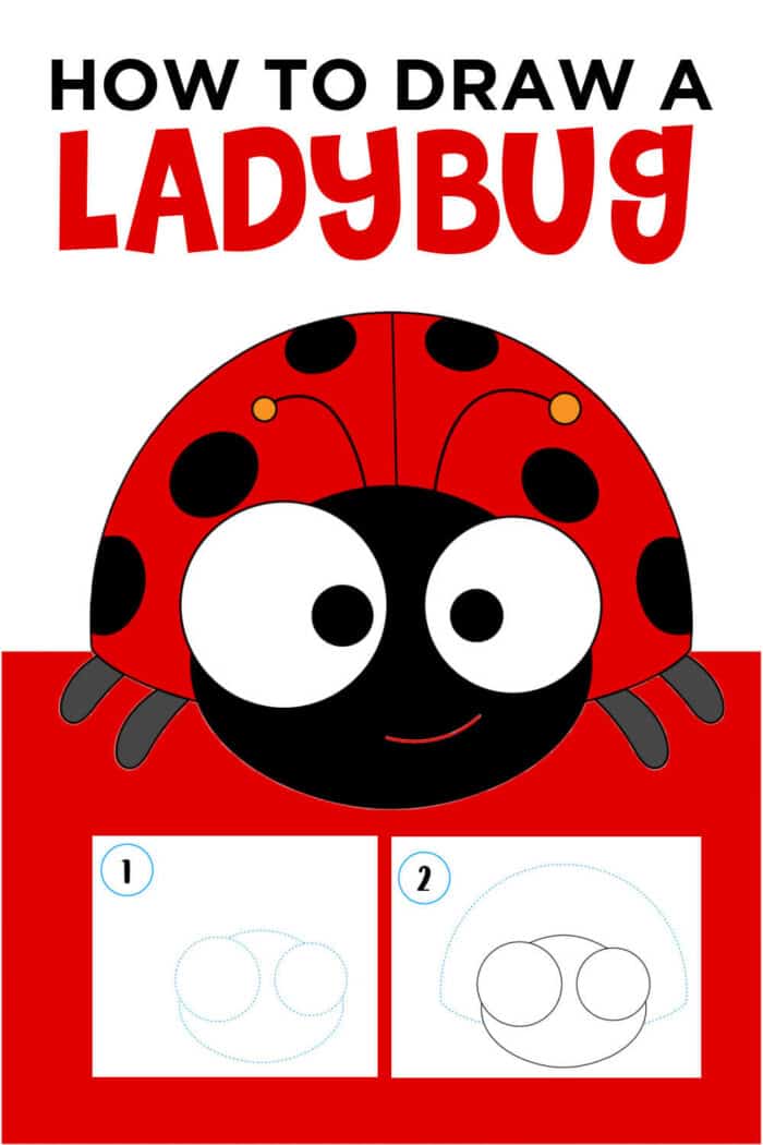 how to draw a ladybug for kids