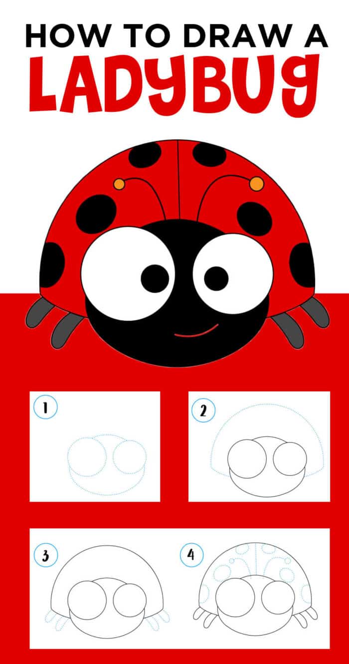 ladybug drawing