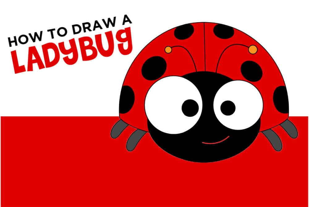 How To Draw A Ladybug - Made with HAPPY