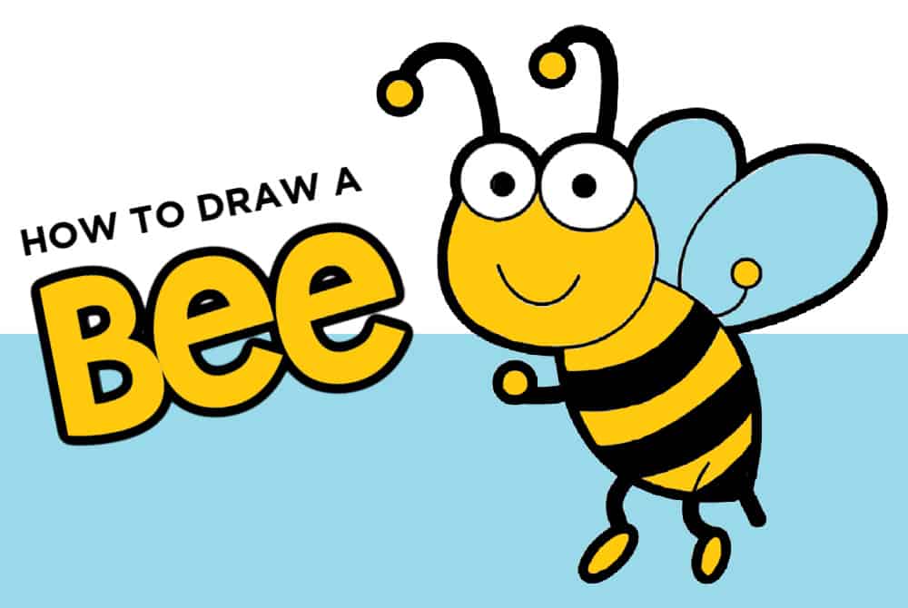 how to draw a bee