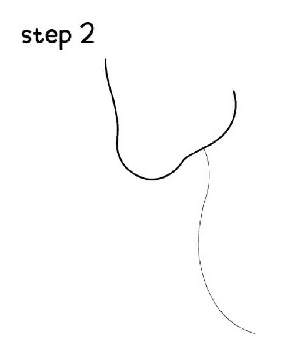 second step to drawing a unicorn