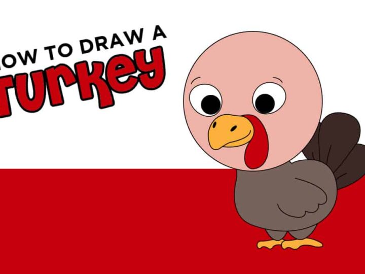 How to Draw Turkey
