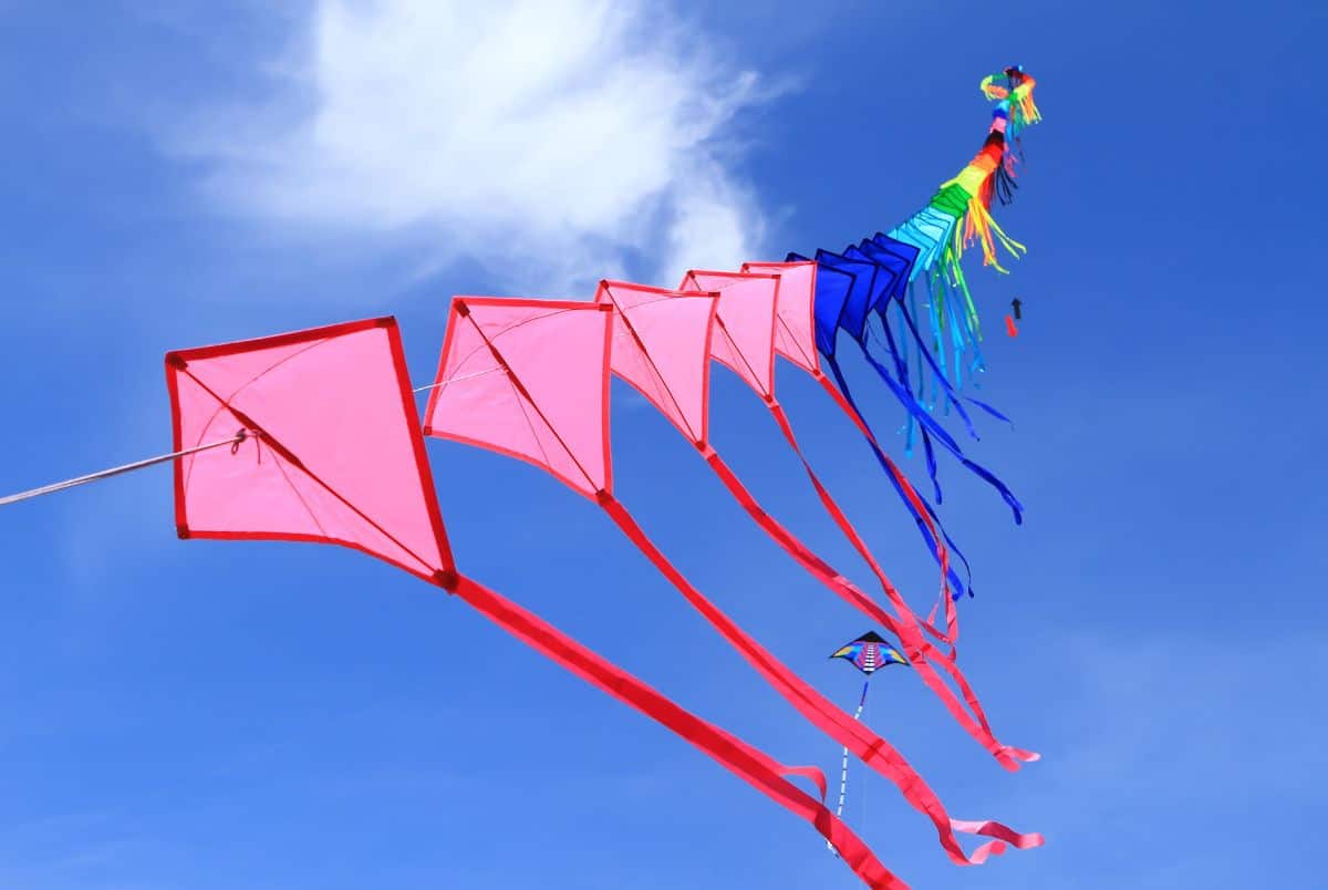 International Kite Day