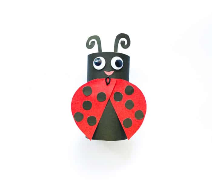 Glue the ladybug’s mouth to finish the craft,