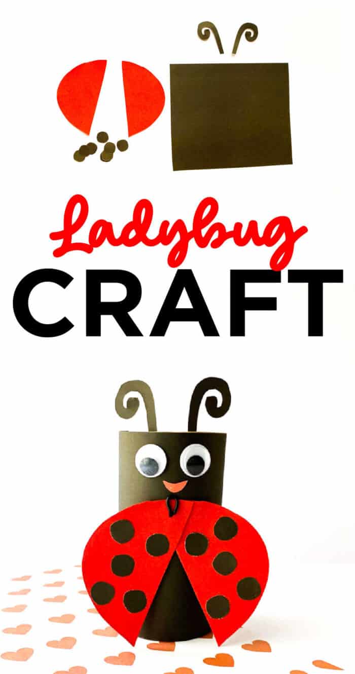 lady bug craft