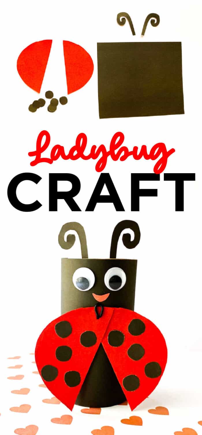 lady bug preschool craft