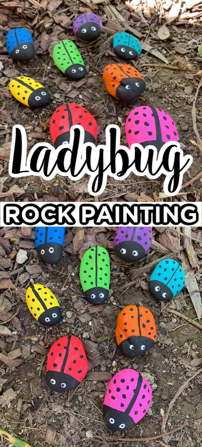 How to paint a ladybug on a rock