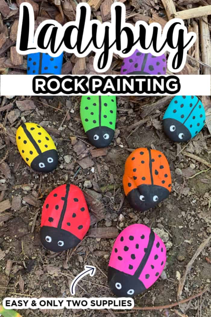 Ladybug Rock Painting