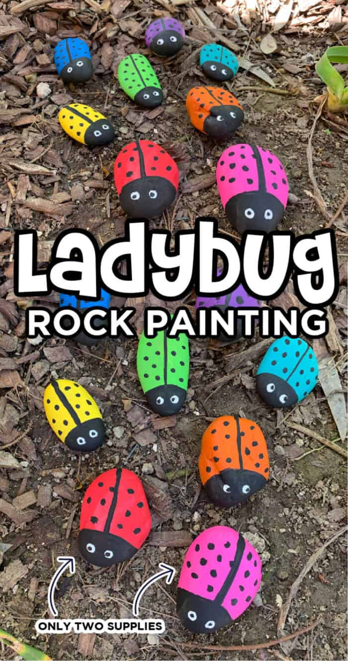 painting rocks ladybugs