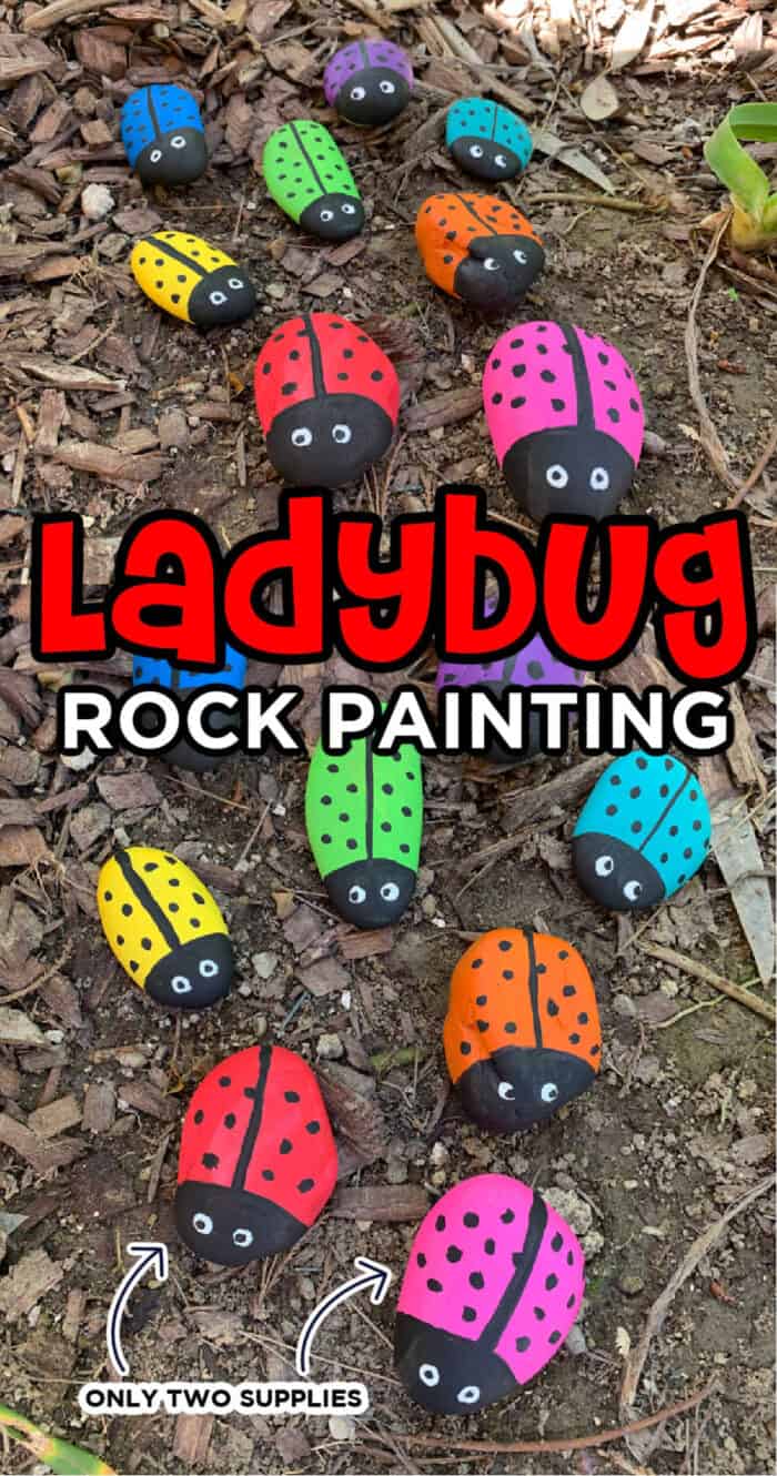 ladybug painted rocks