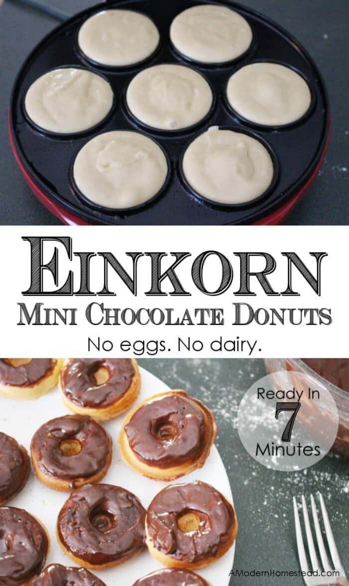 Mini Chocolate Donuts | Egg Free Donuts | Dairy Free Donuts | Einkorn Flour Mini Chocolate Donuts | Four Fall Doughnuts | Breakfast Donuts perfect for Fall | The Handmade Hangout 