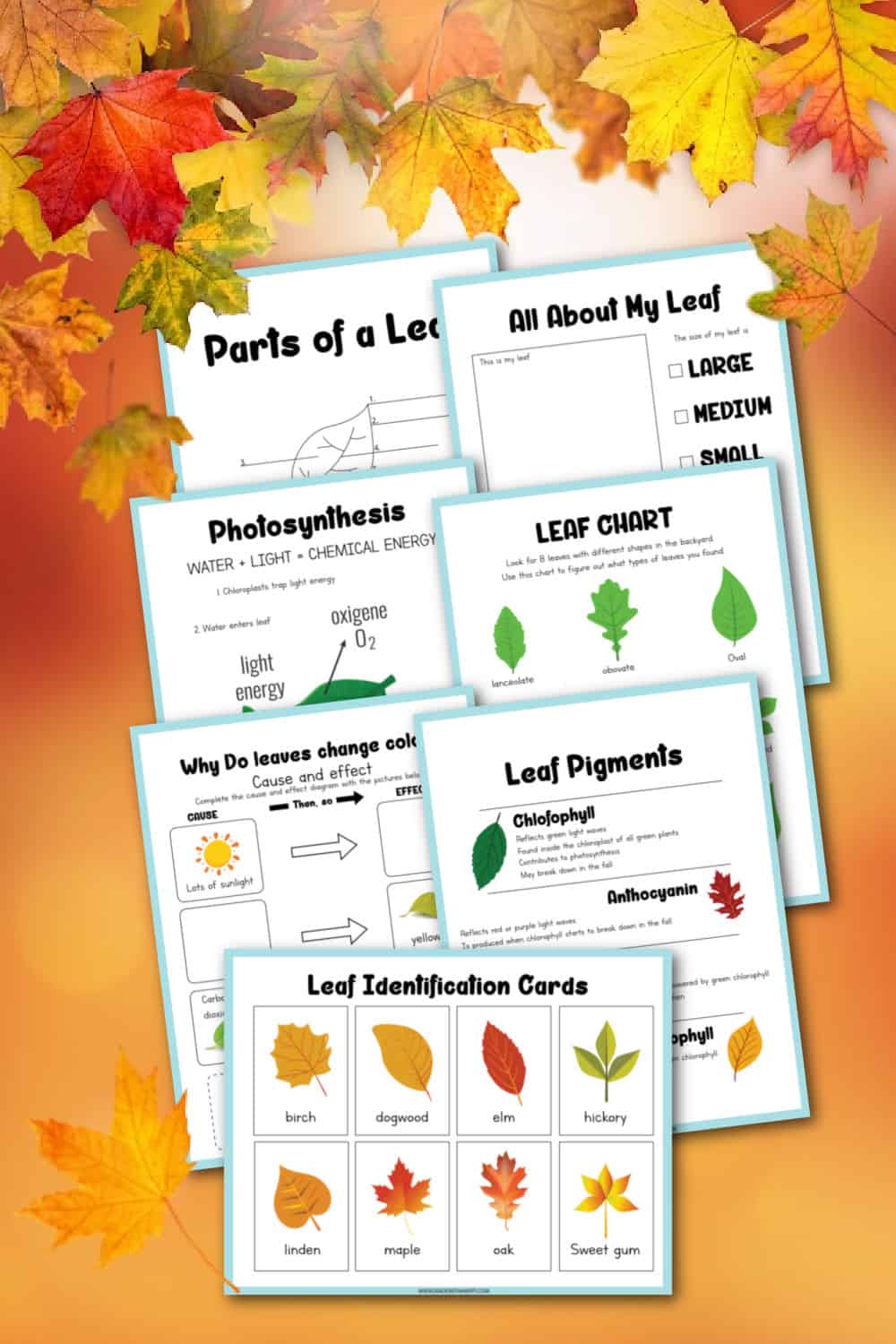 Printable Leaf Activities