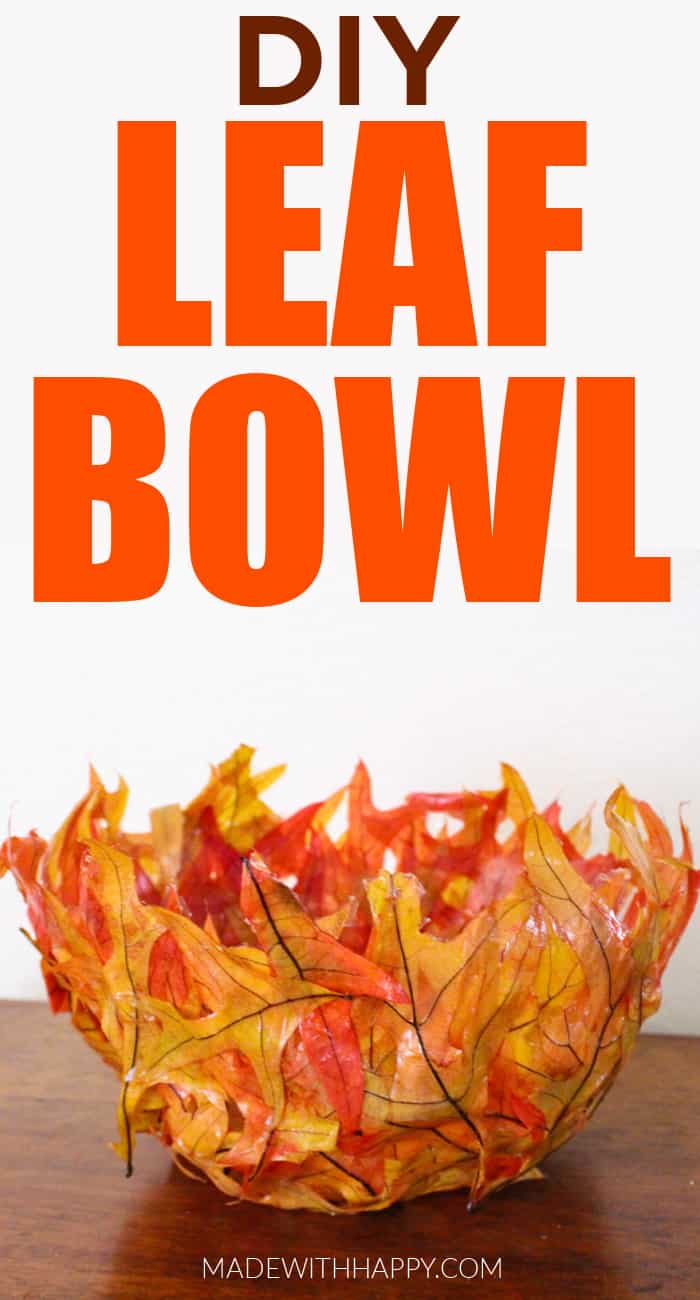Leaf bowl Craft