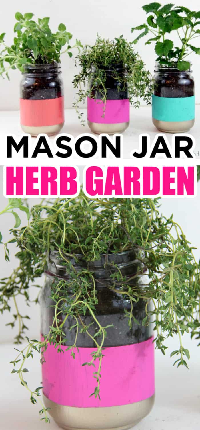 mason jar herb garden