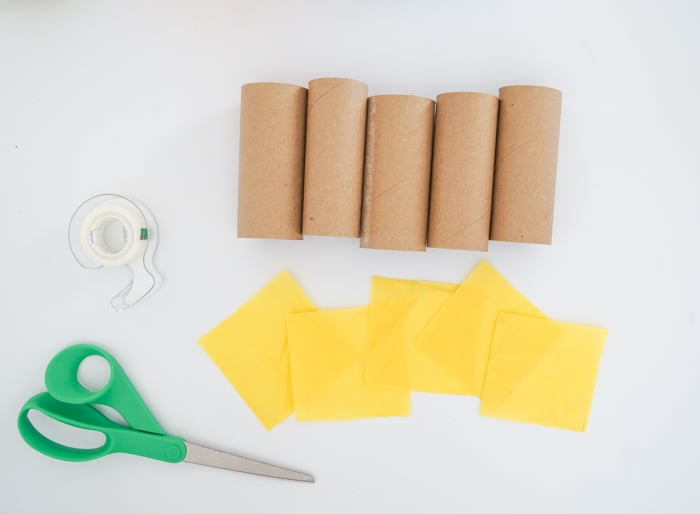 Toilet paper roll craft supplies