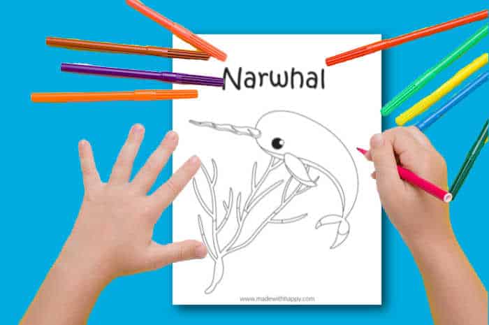 unicorn narwhal coloring page