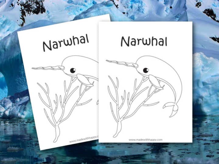 narwhal coloring page