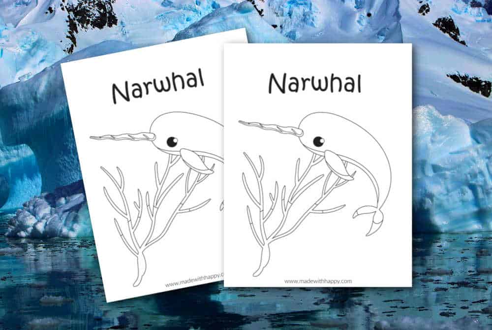 narwhal coloring page